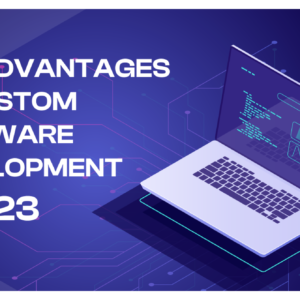 The Advantages of Custom Software Development in 2023